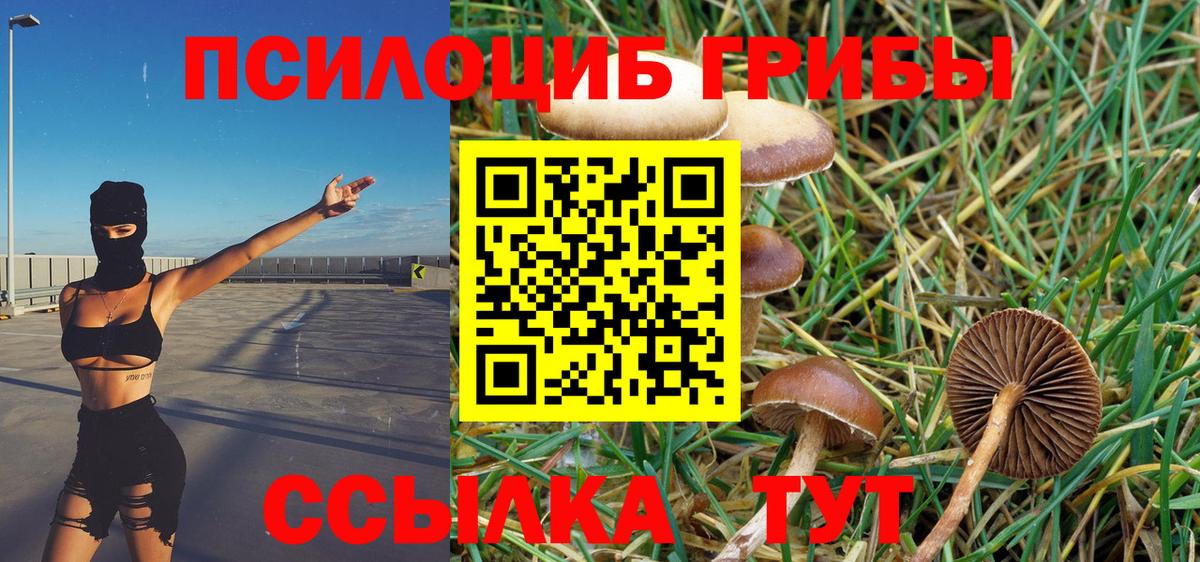 Галлюциногенные грибы мицелий  Вход с VPN  Псилоцибиновые грибы MAGIC MUSHROOMS  Норильск 